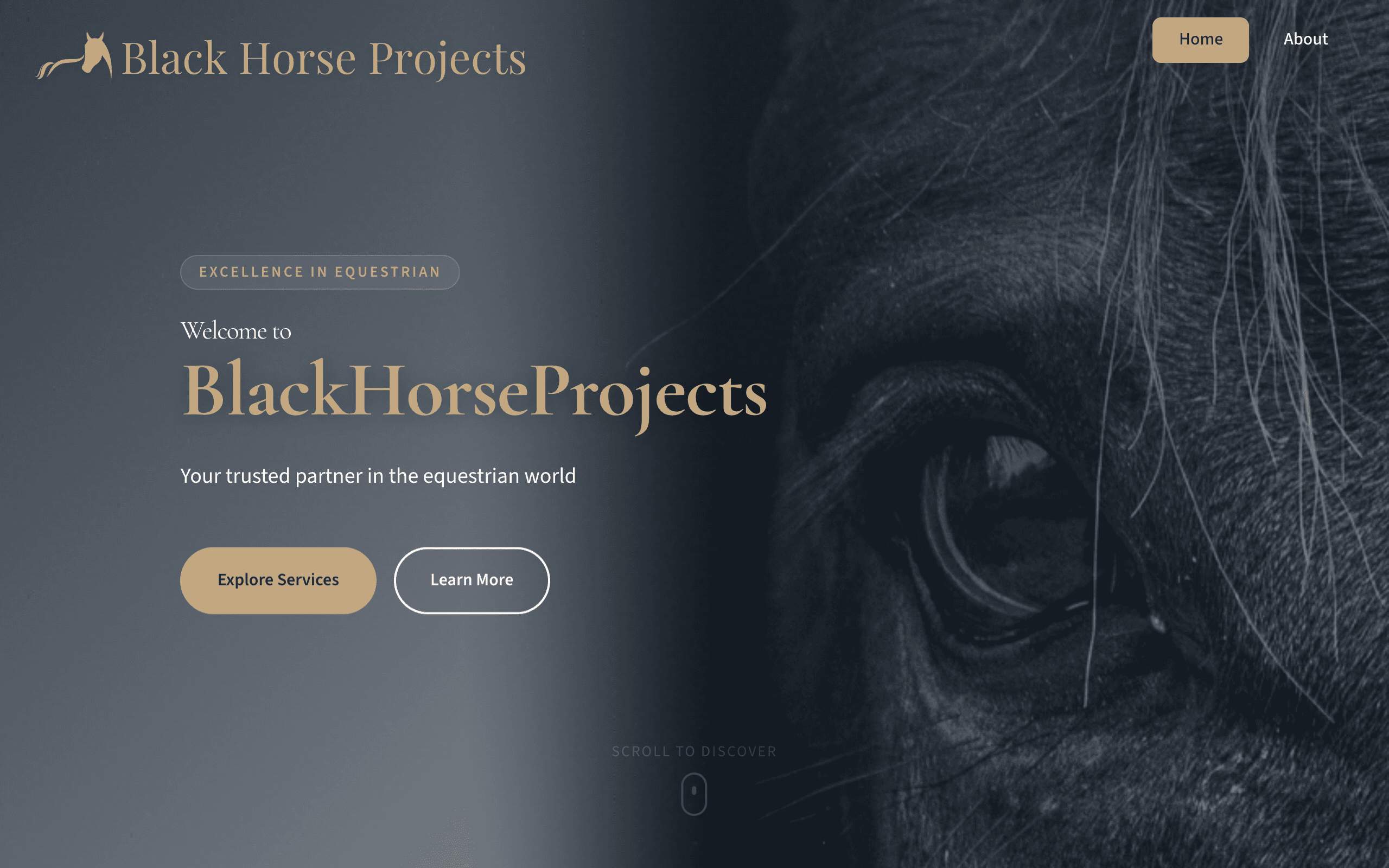 Black Horse Projects Homepage